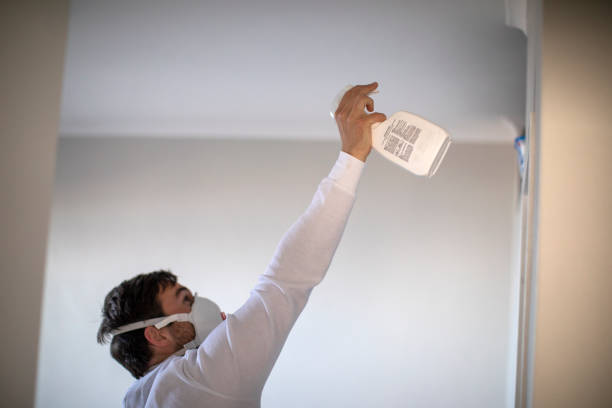 Best Attic Mold Remediation in Leeds, AL